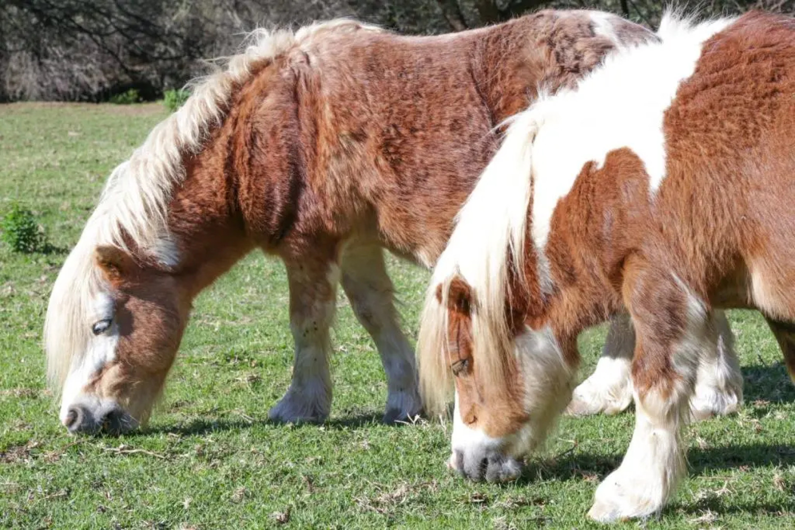 De Oude Meul Country Lodge