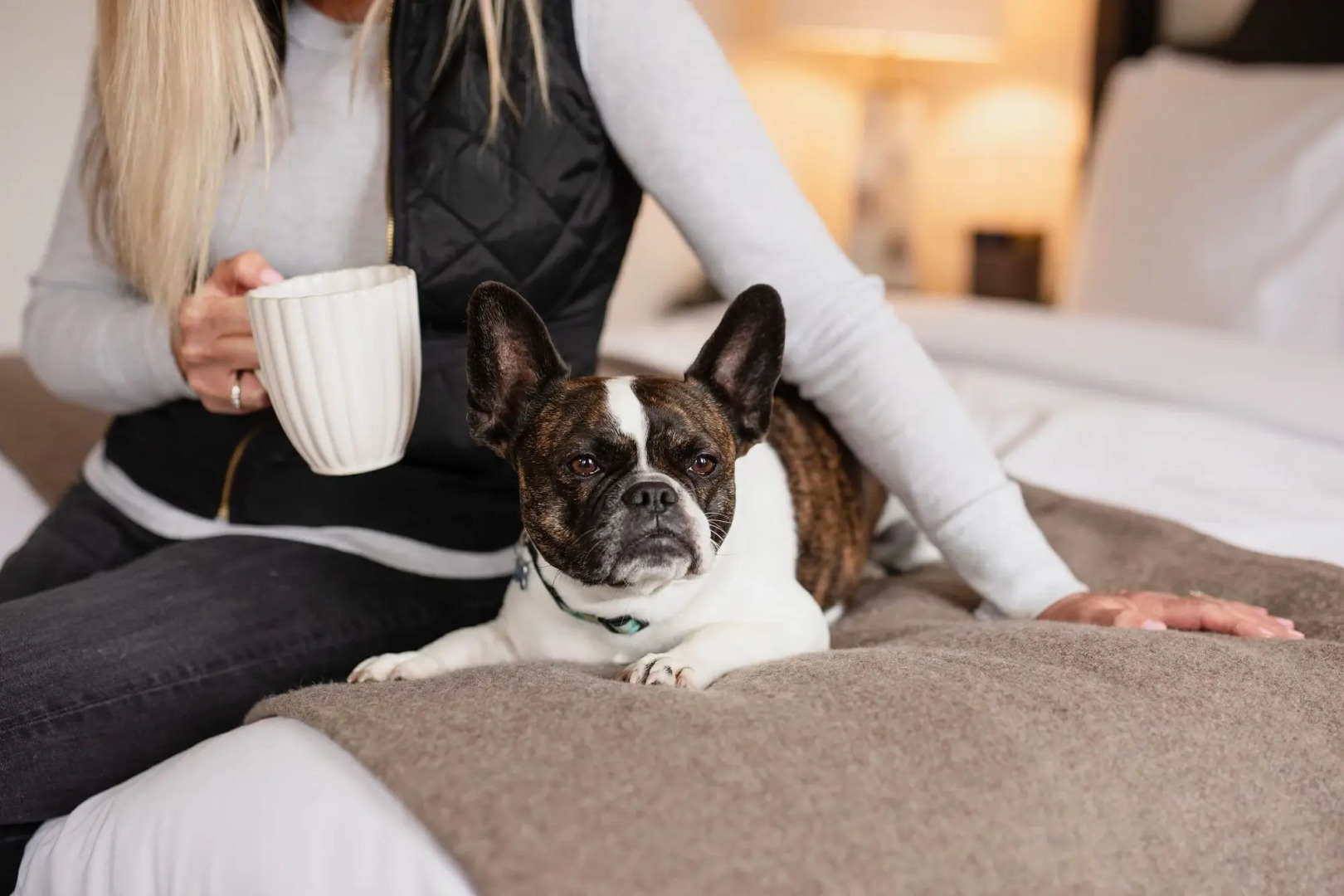 The Lodge at St Edward Park