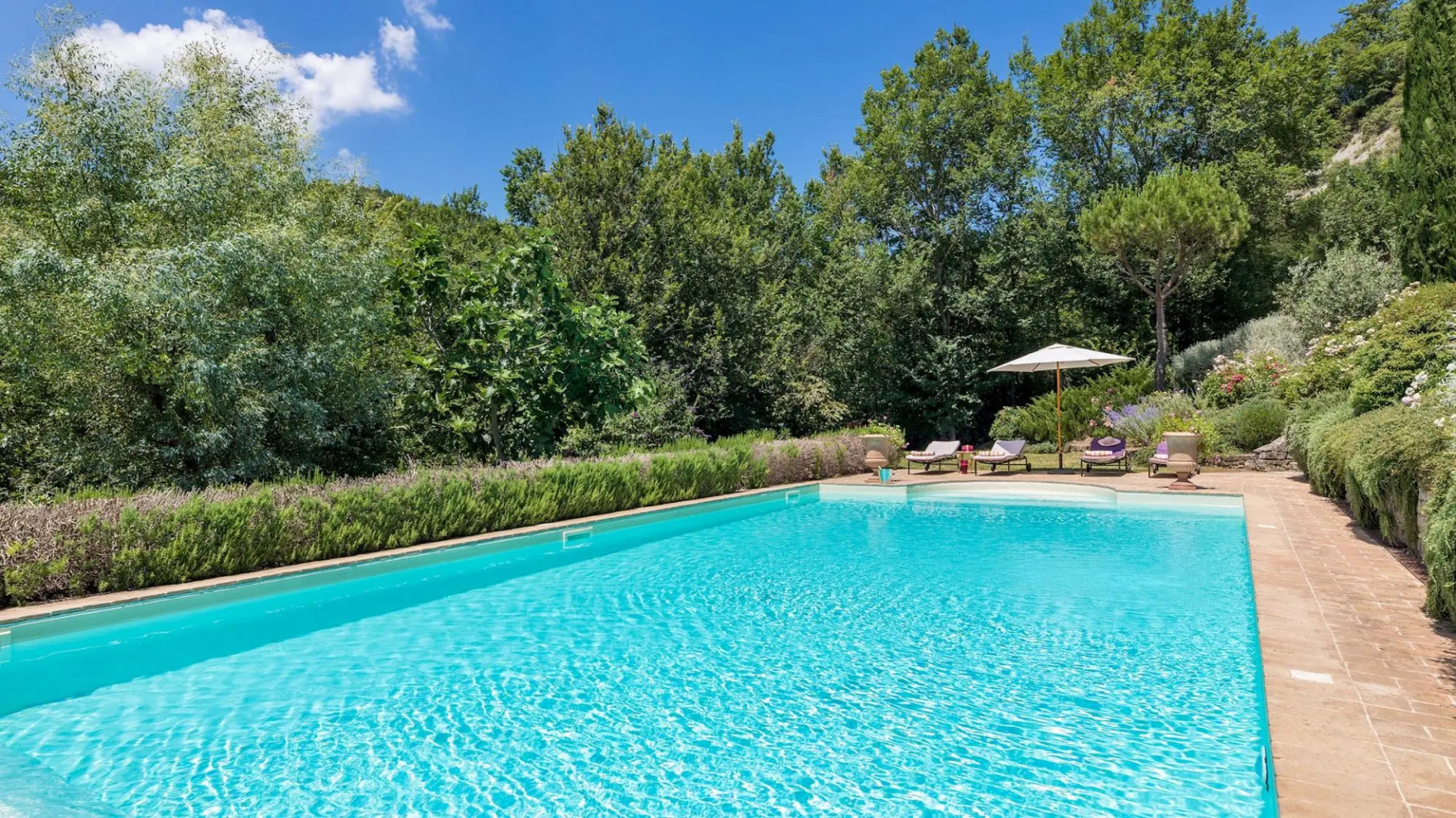 Col Di Casale 8 in Montone