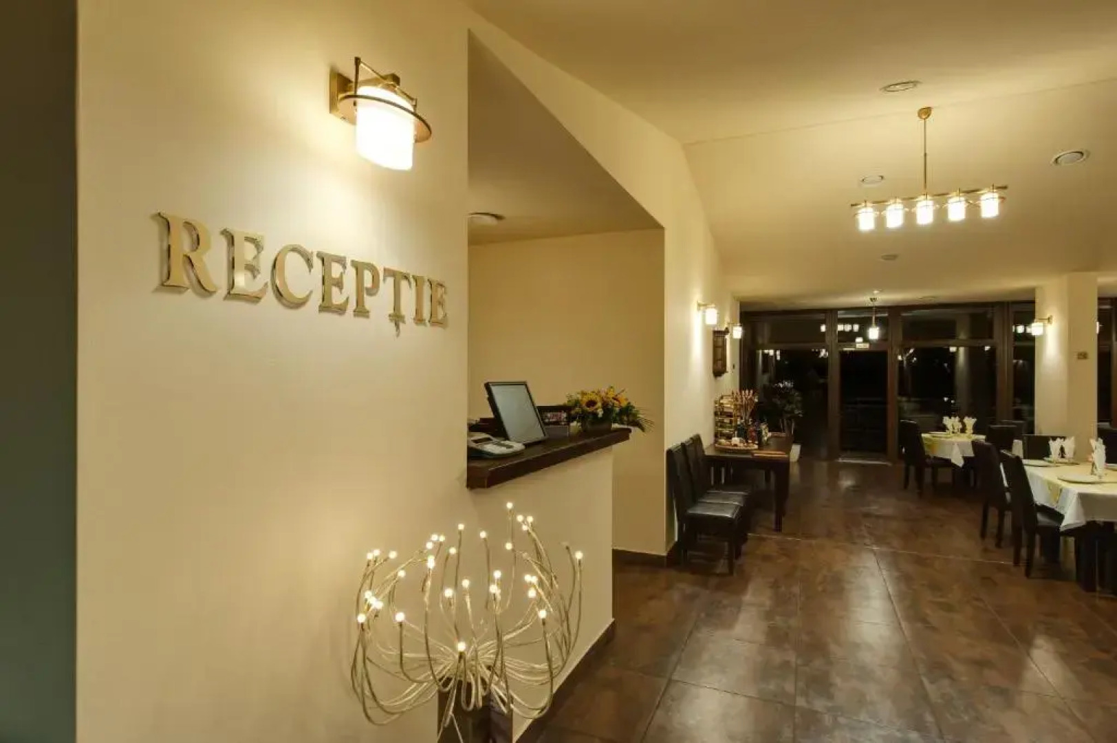 Pensiunea Dany - Retezat