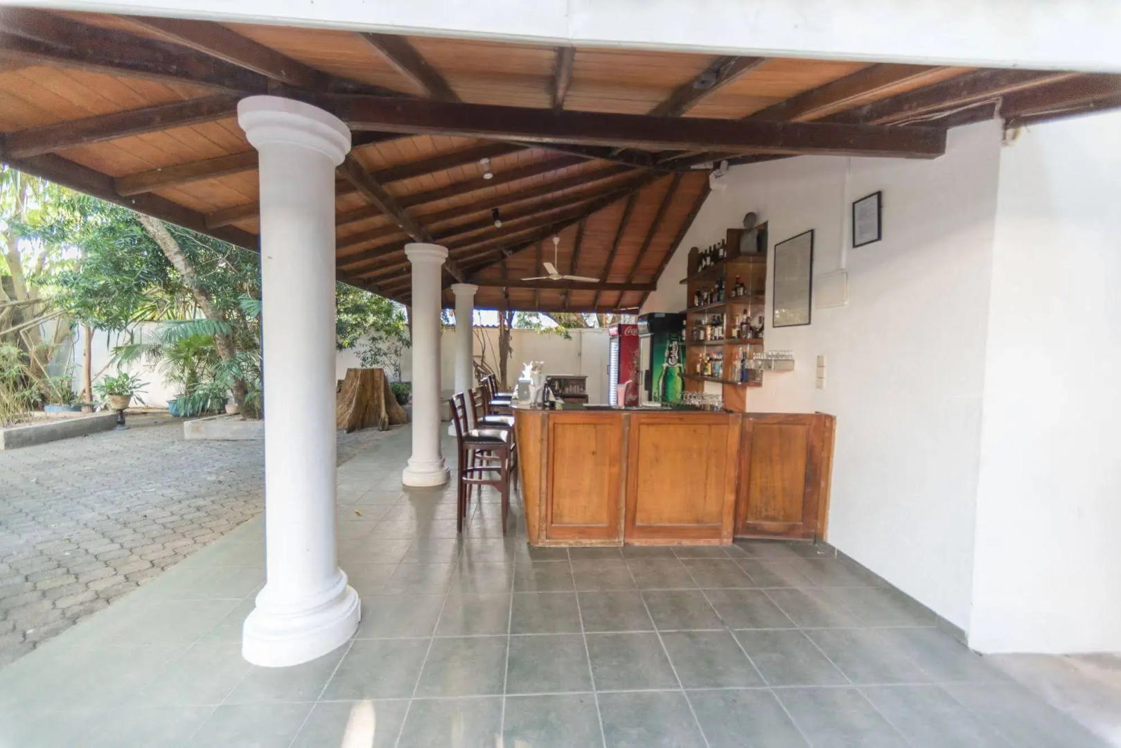 Palms, Mount Lavinia