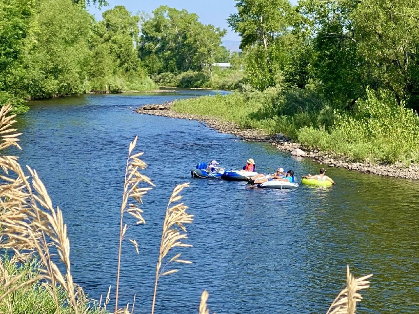 Elegant Old Town Charm – Walk to Csu and Downtown