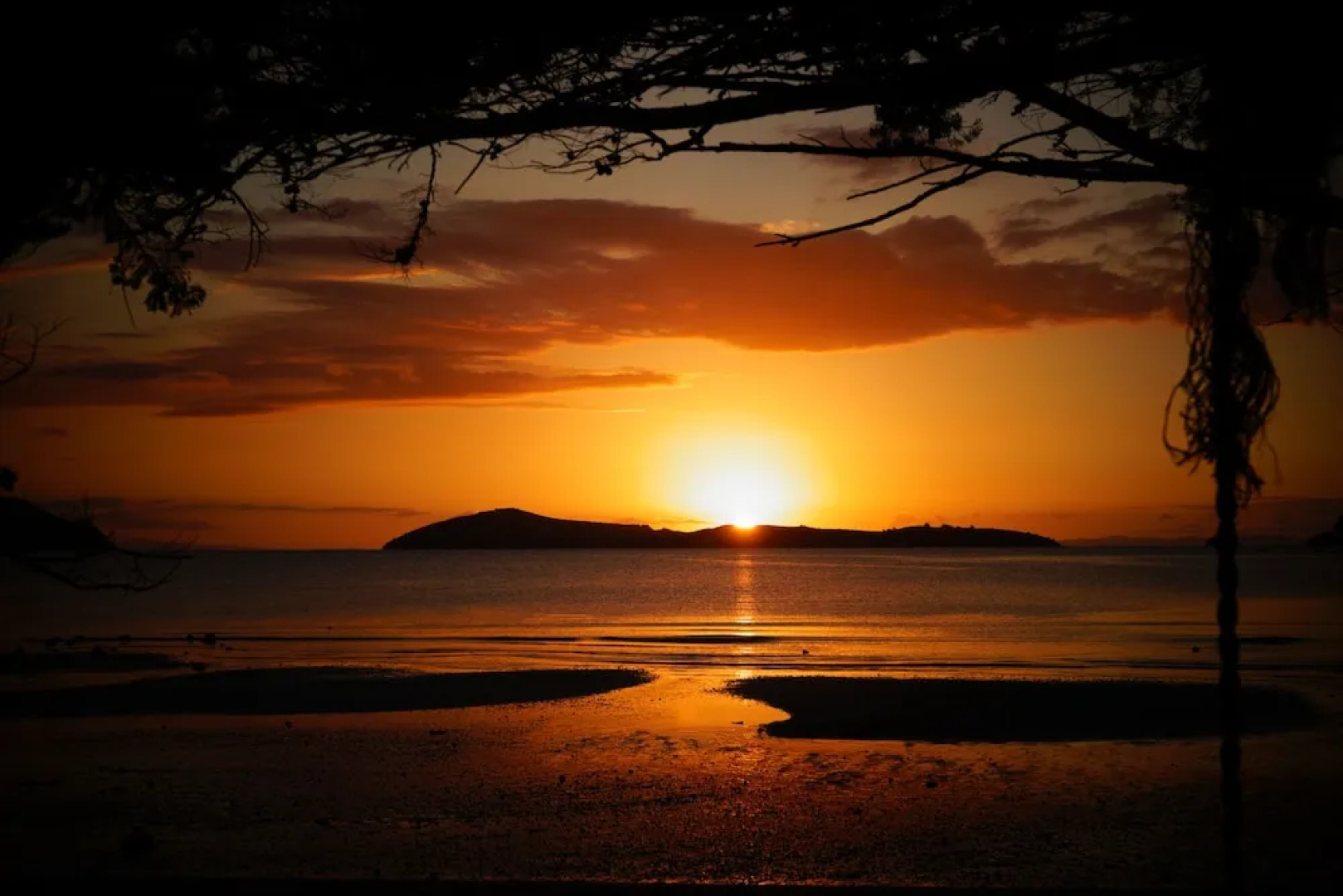 Coromandel Shelly Beach TOP 10 Holiday Park