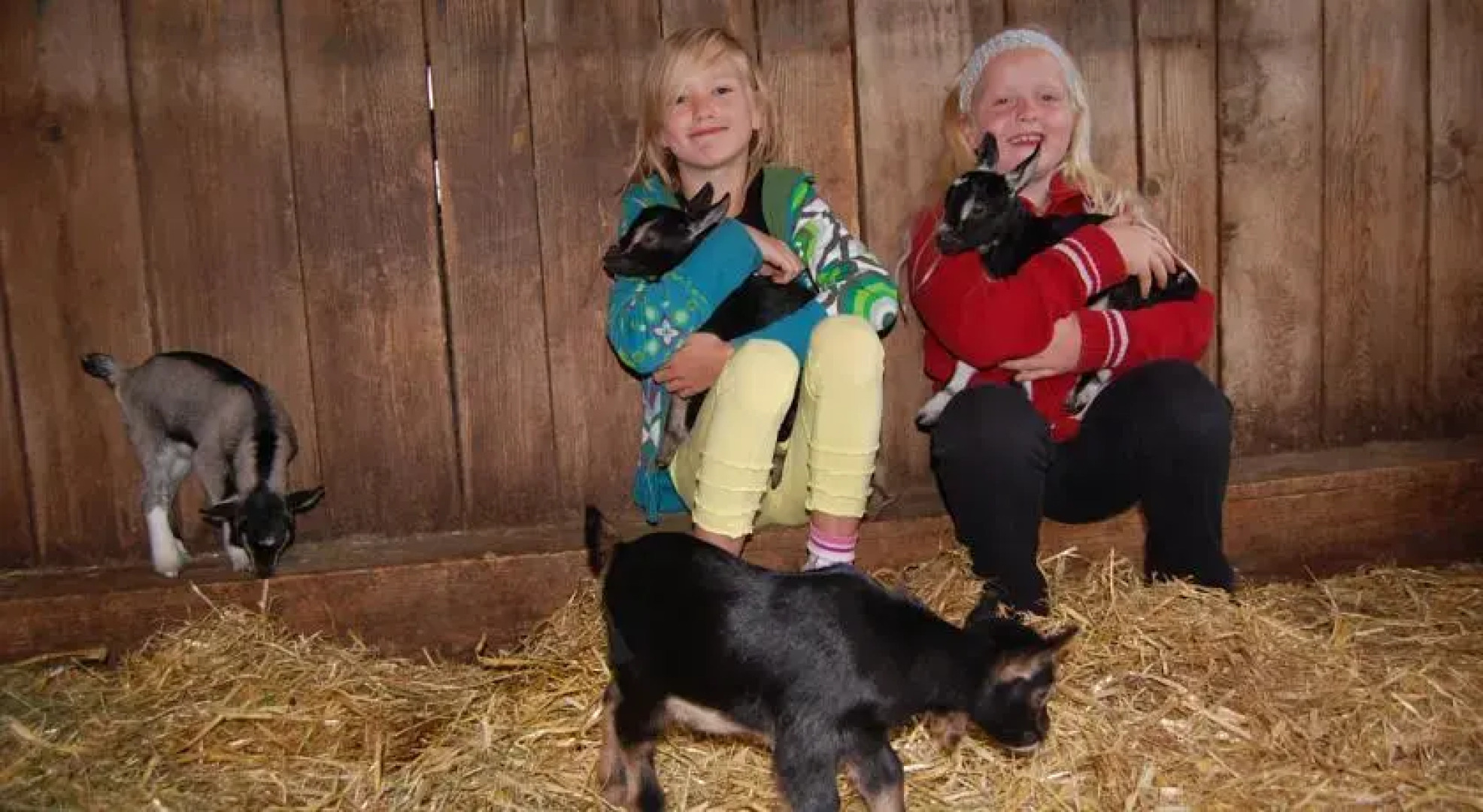 Hotel - Pension Breilerhof