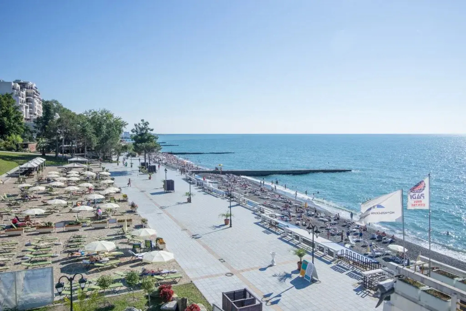 Нева Интернейшнл