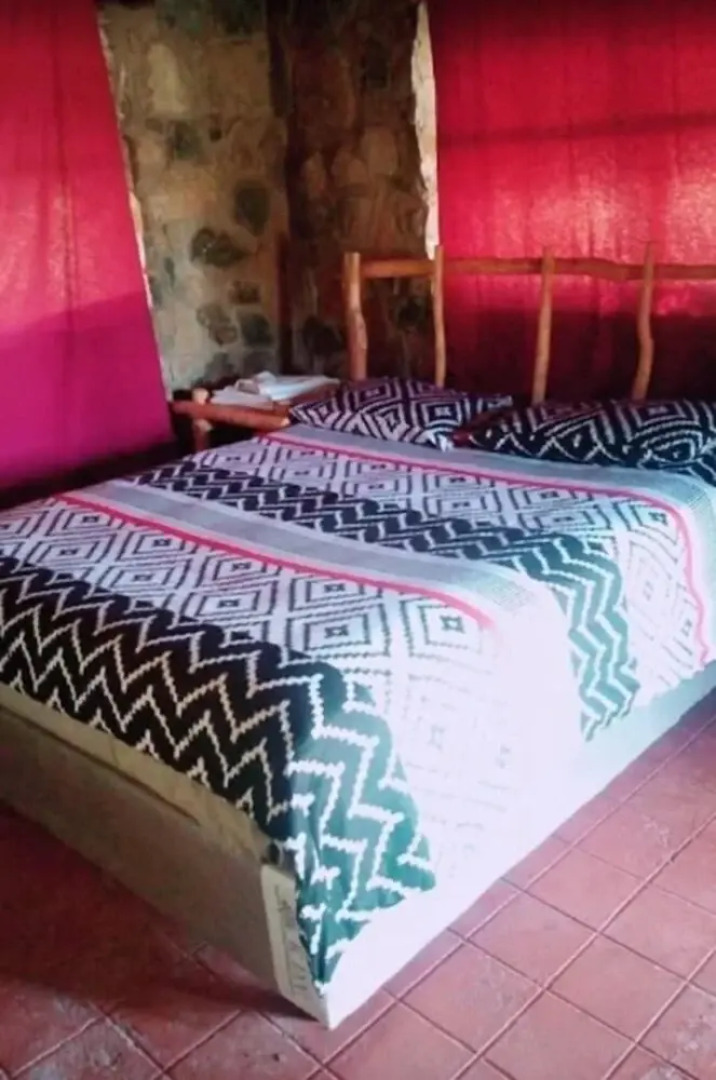 The elephant sounds lodge