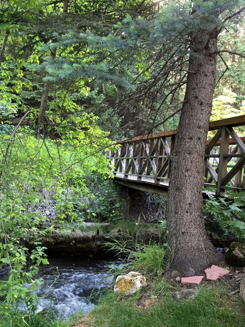Treehouse by the Stream