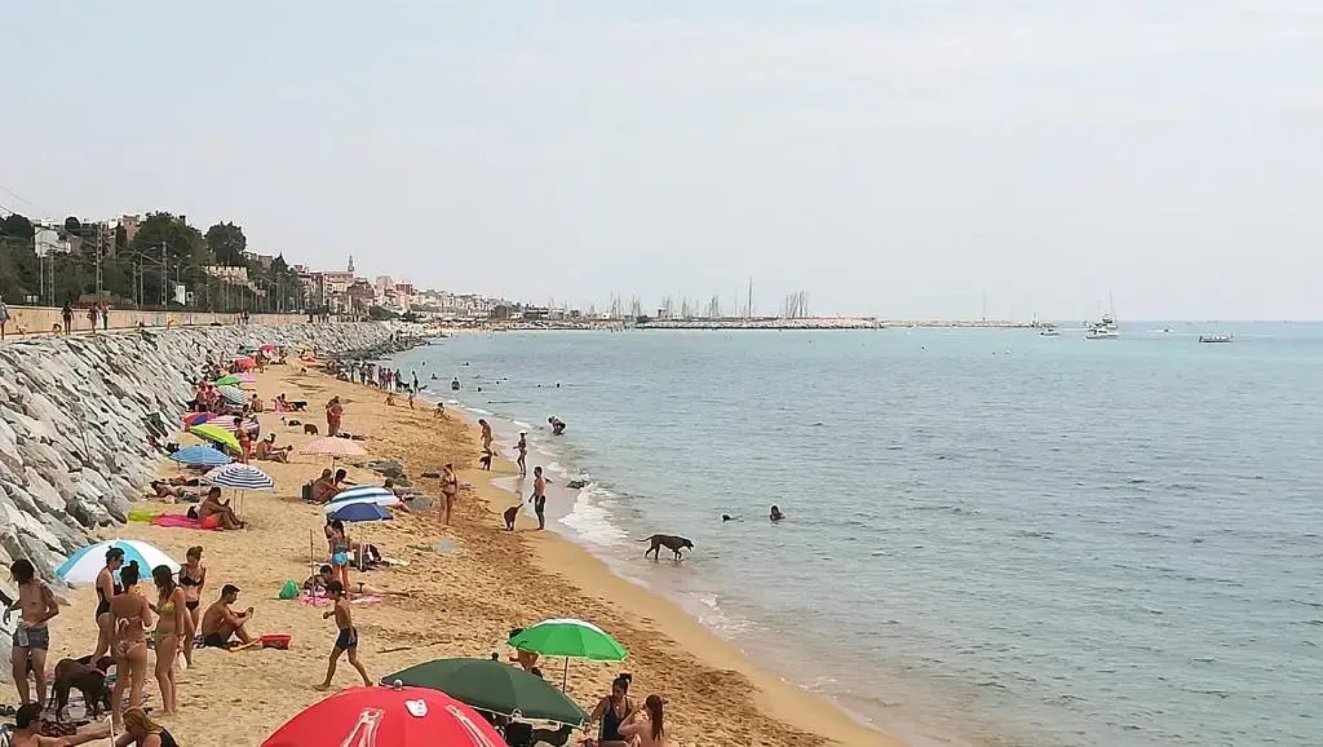 Terrassa De Mar Apartament