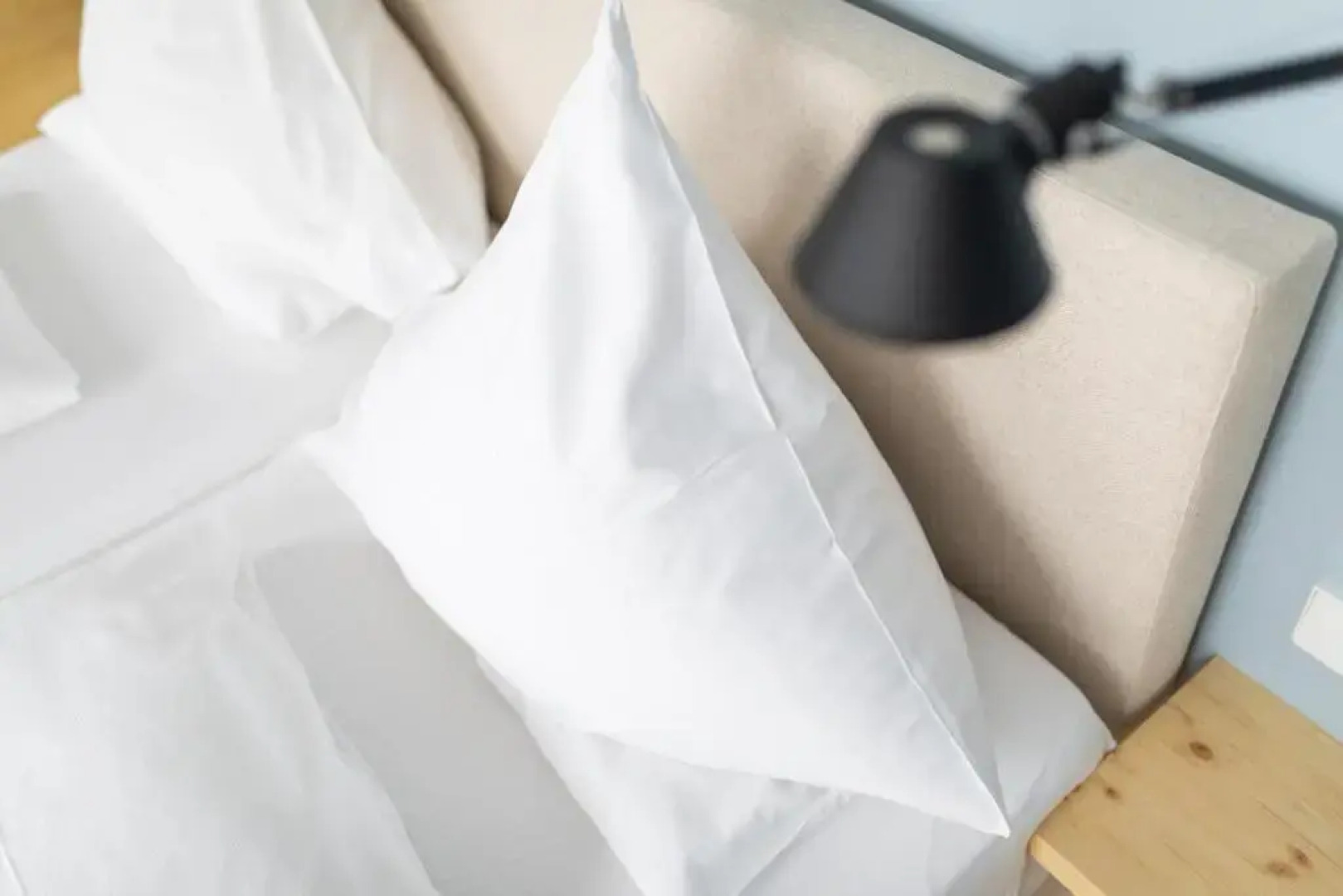 Logierhaus Austernfischer