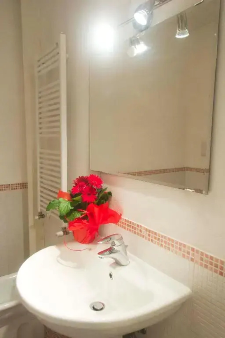 Wine & Lake In Franciacorta