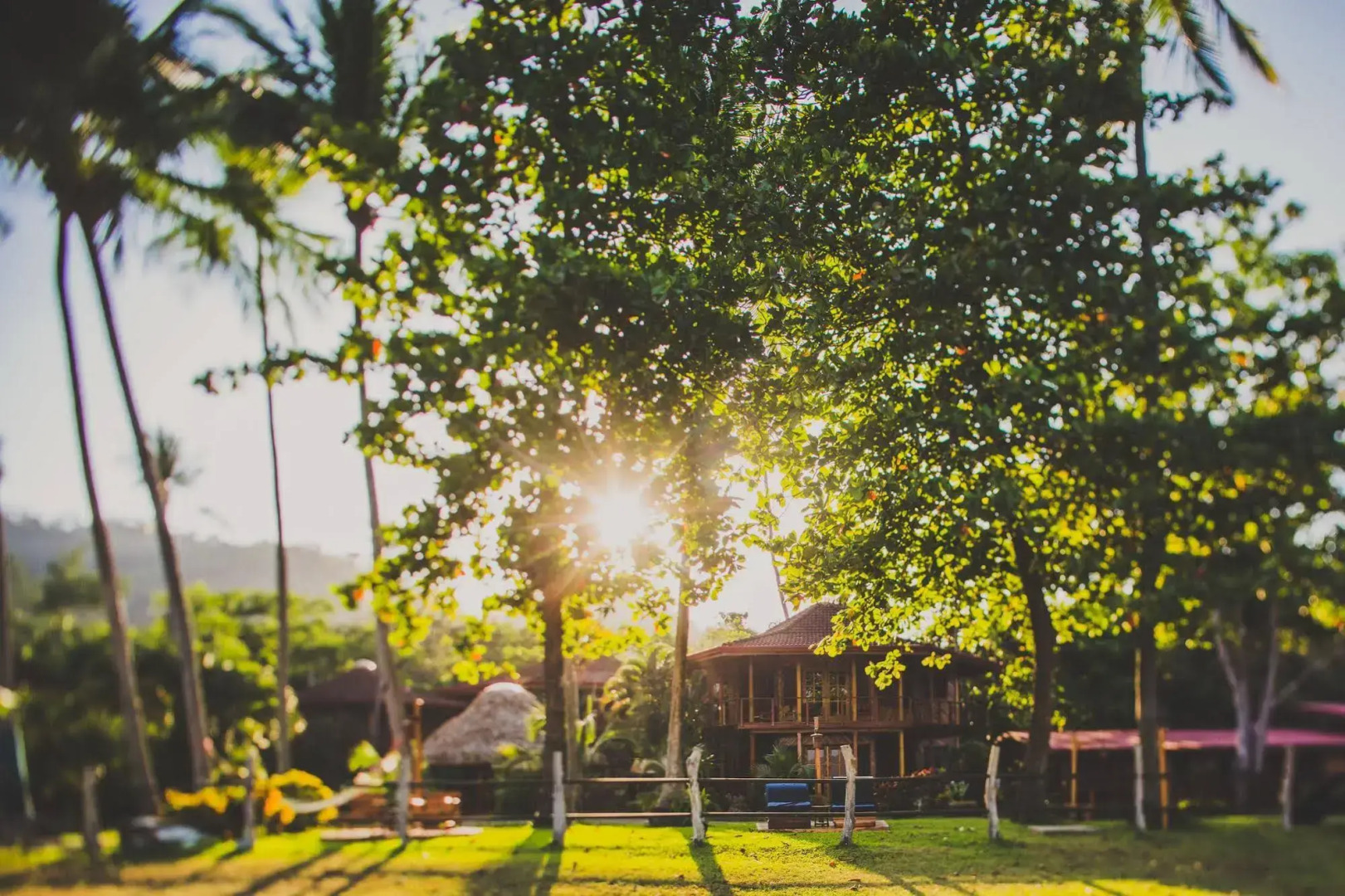 Tambor Tropical - Adults Only