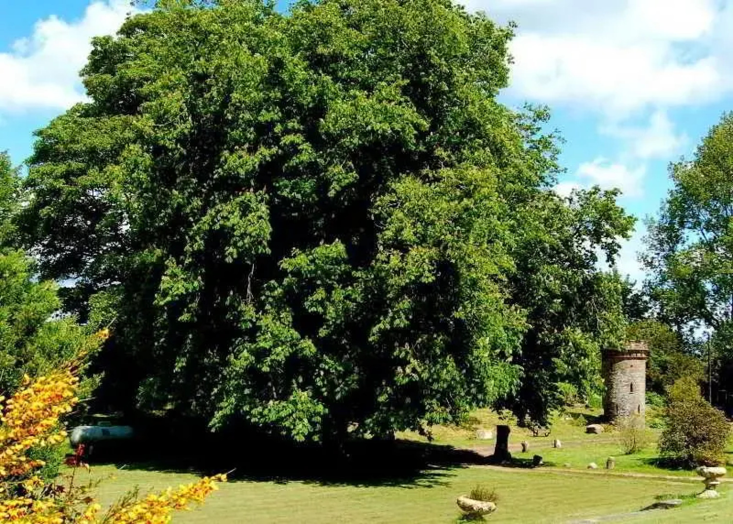 The Urr Valley Country House Hotel