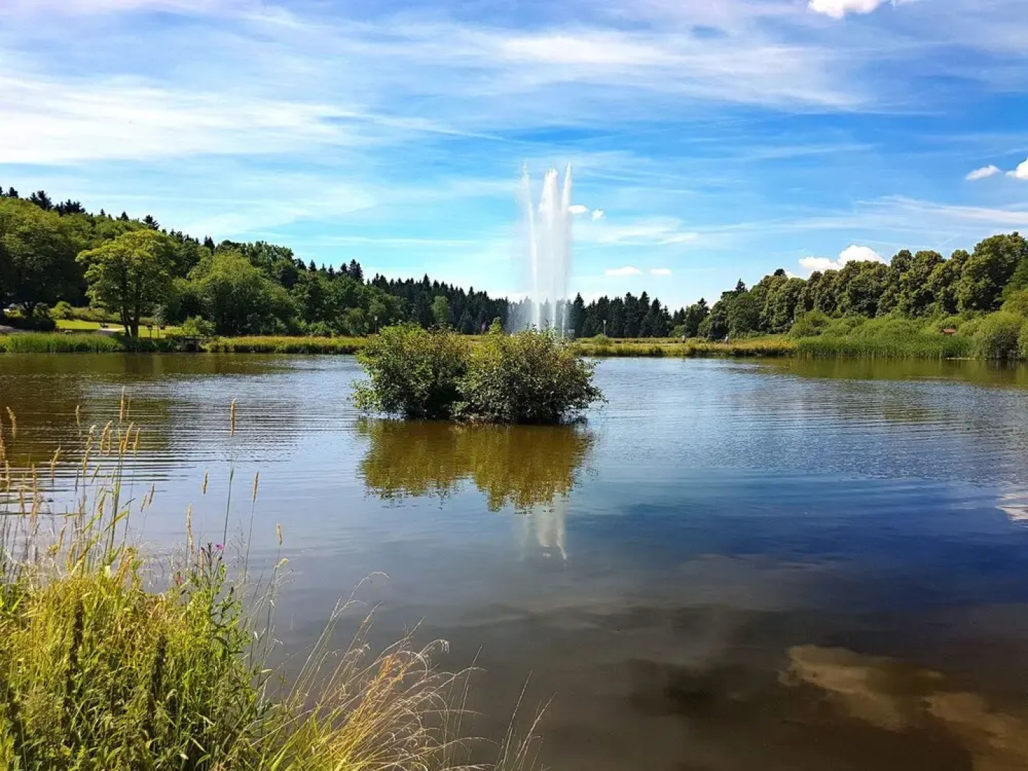 Small Apartment in Hahnenklee With Balcony and use of Sauna and Swimming Pool
