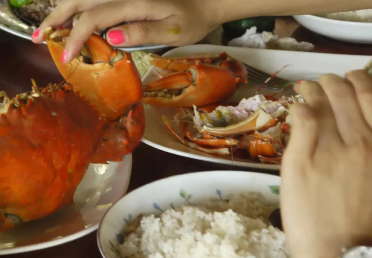 Traveller's Home Hotel