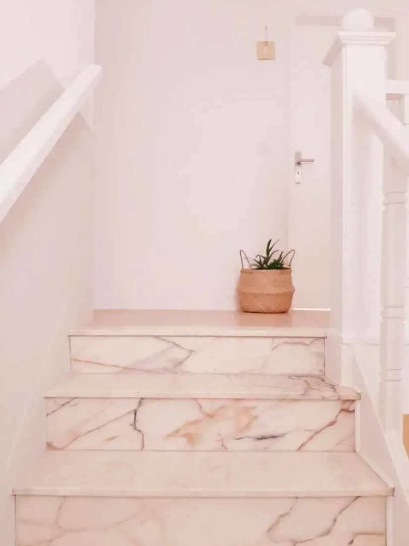 O VIOLAS — Tapas & Bed