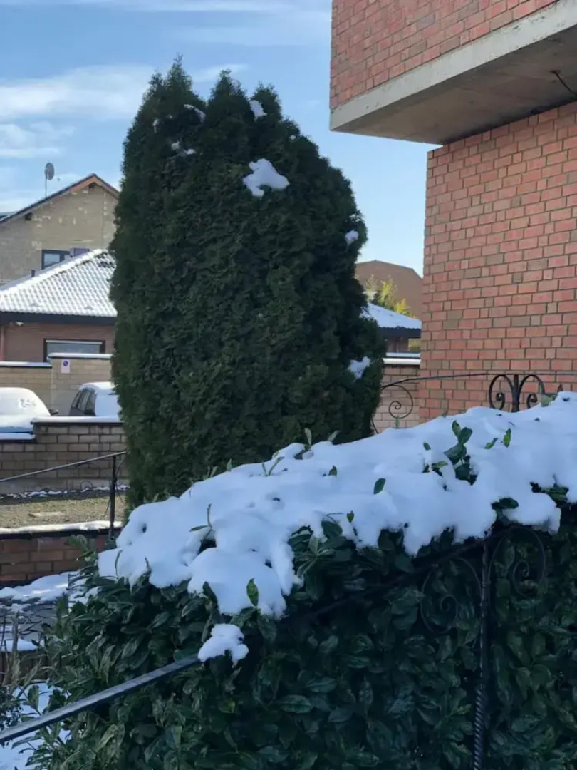 Hotel Garni Schäfer