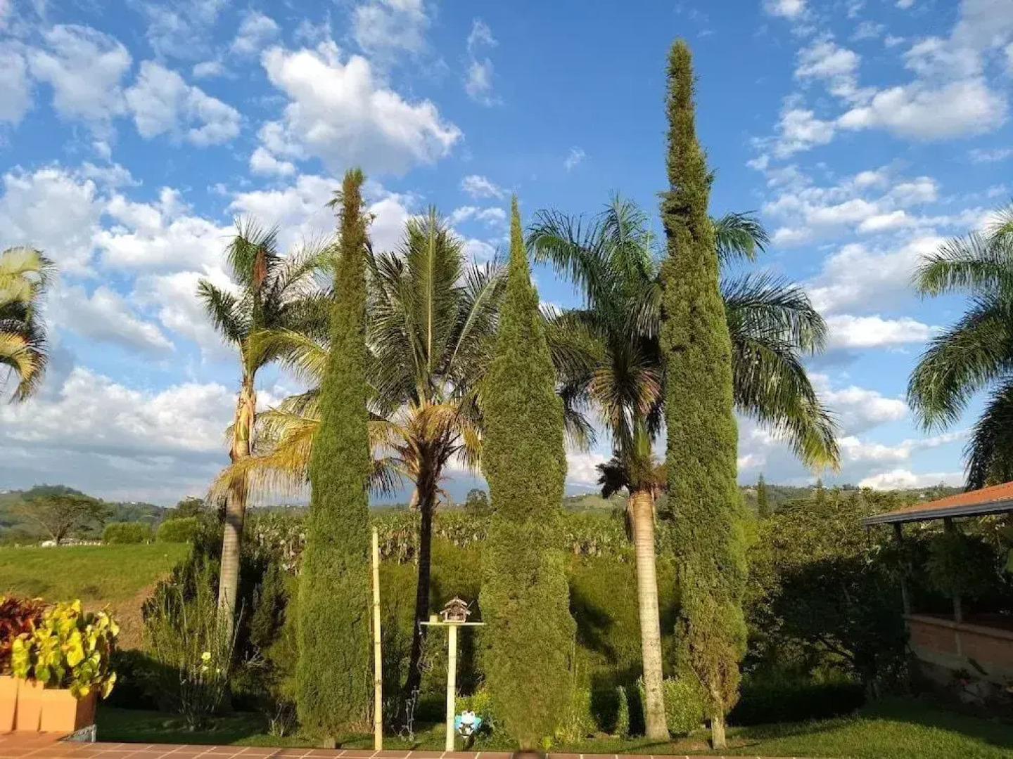 Finca El Diamante