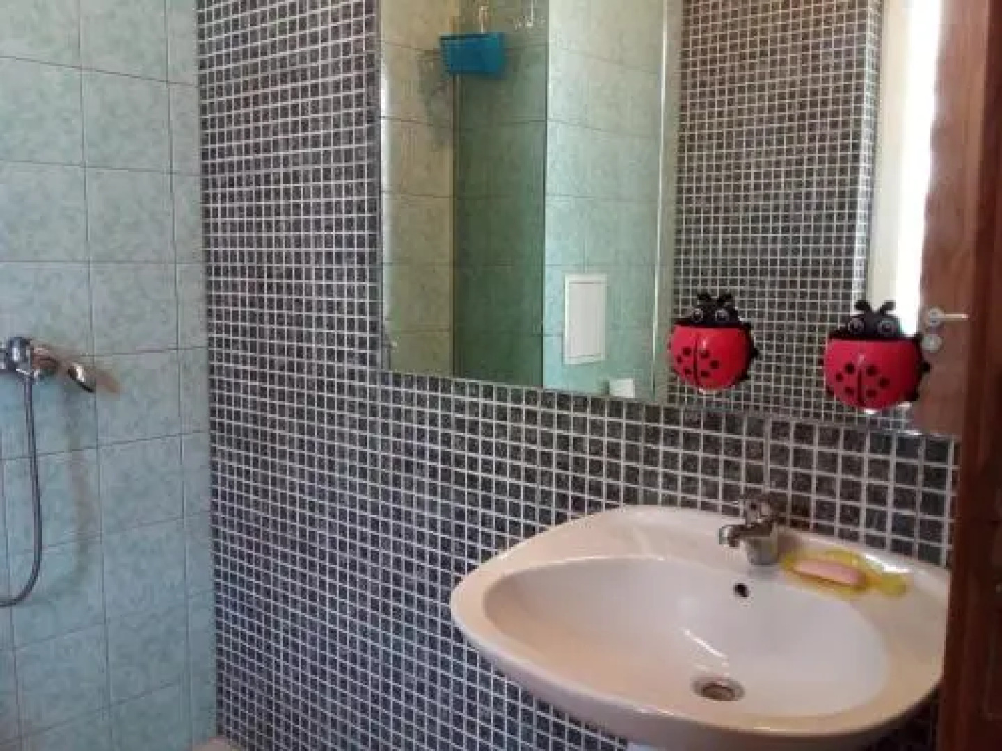 Sunny View Apartment