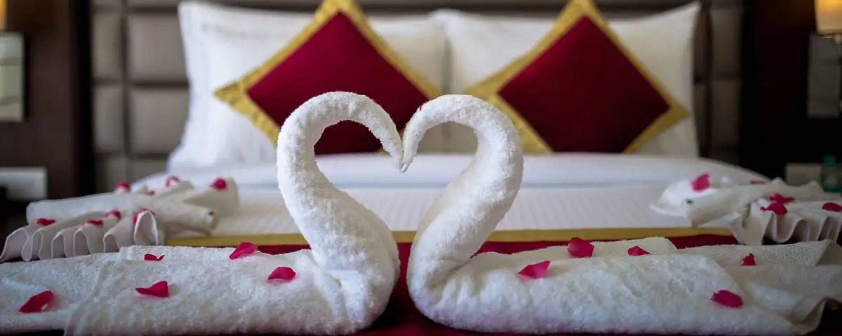 Velvet Clarks Exotica