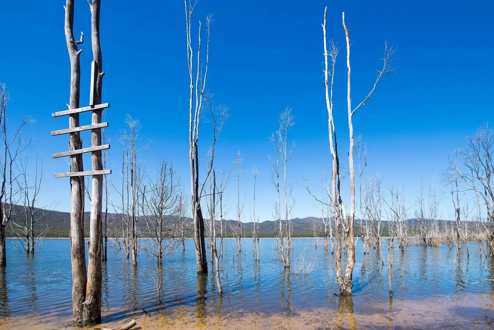 Comfort Inn Country Plaza Halls Gap
