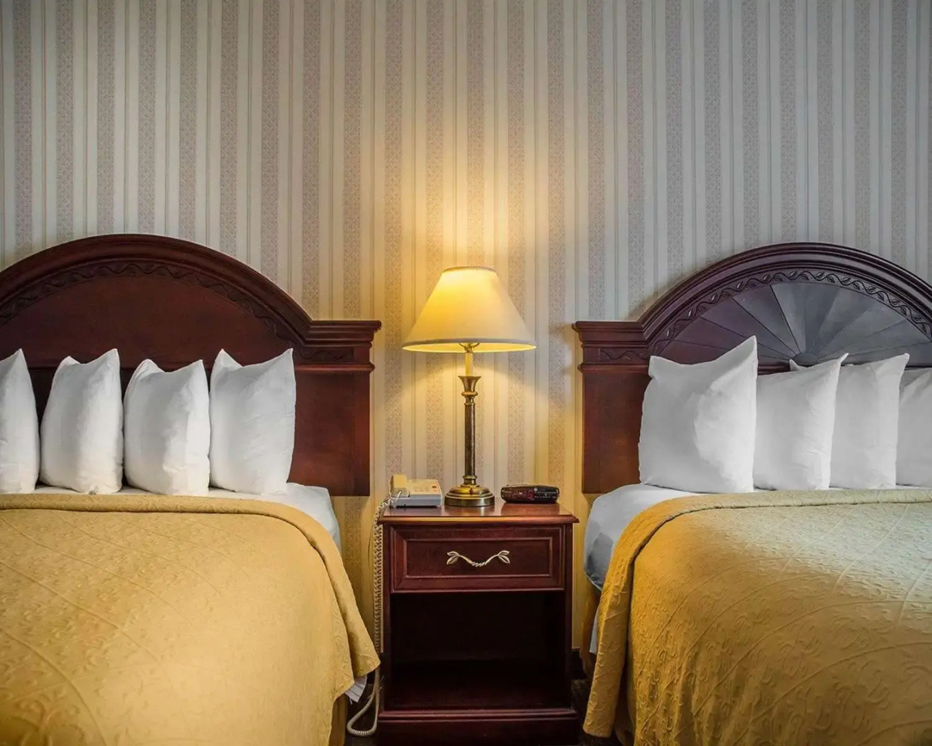 Quality Hotel & Suites