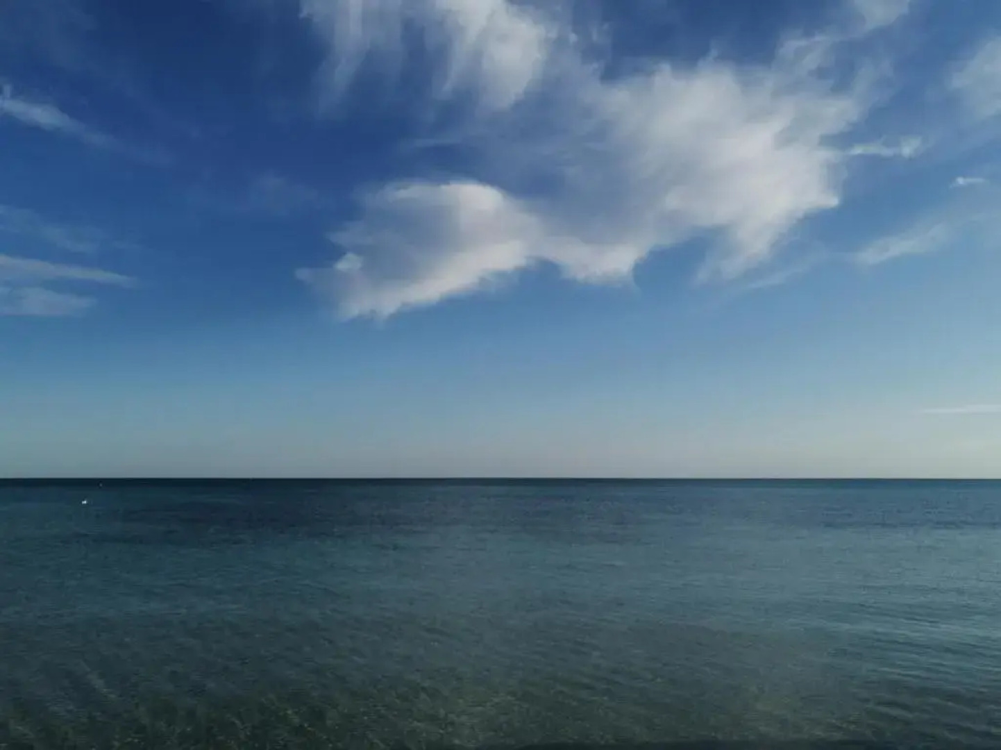 Na Chicca e na Nicchia