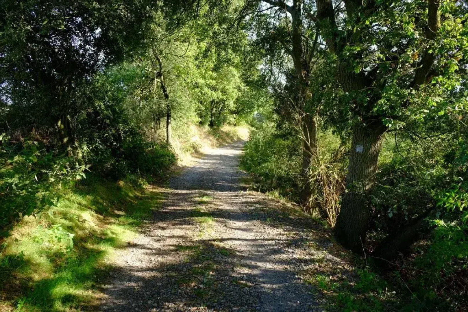 Ferienwohnung zum Küppchen