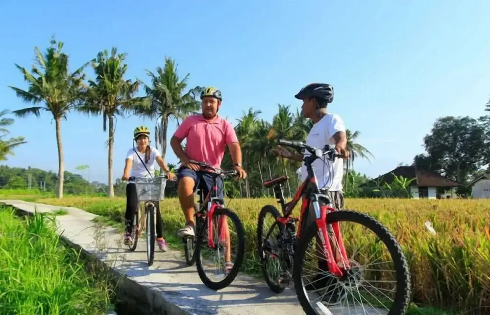 Designer Home In Saint Catherine