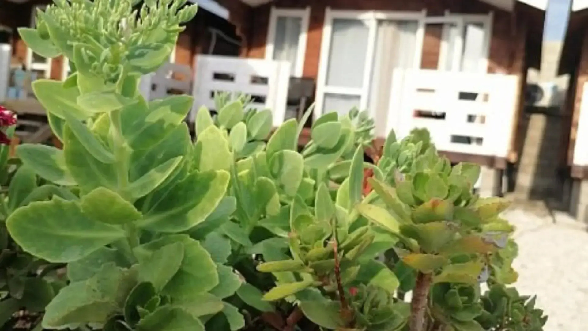 Тихий уголок