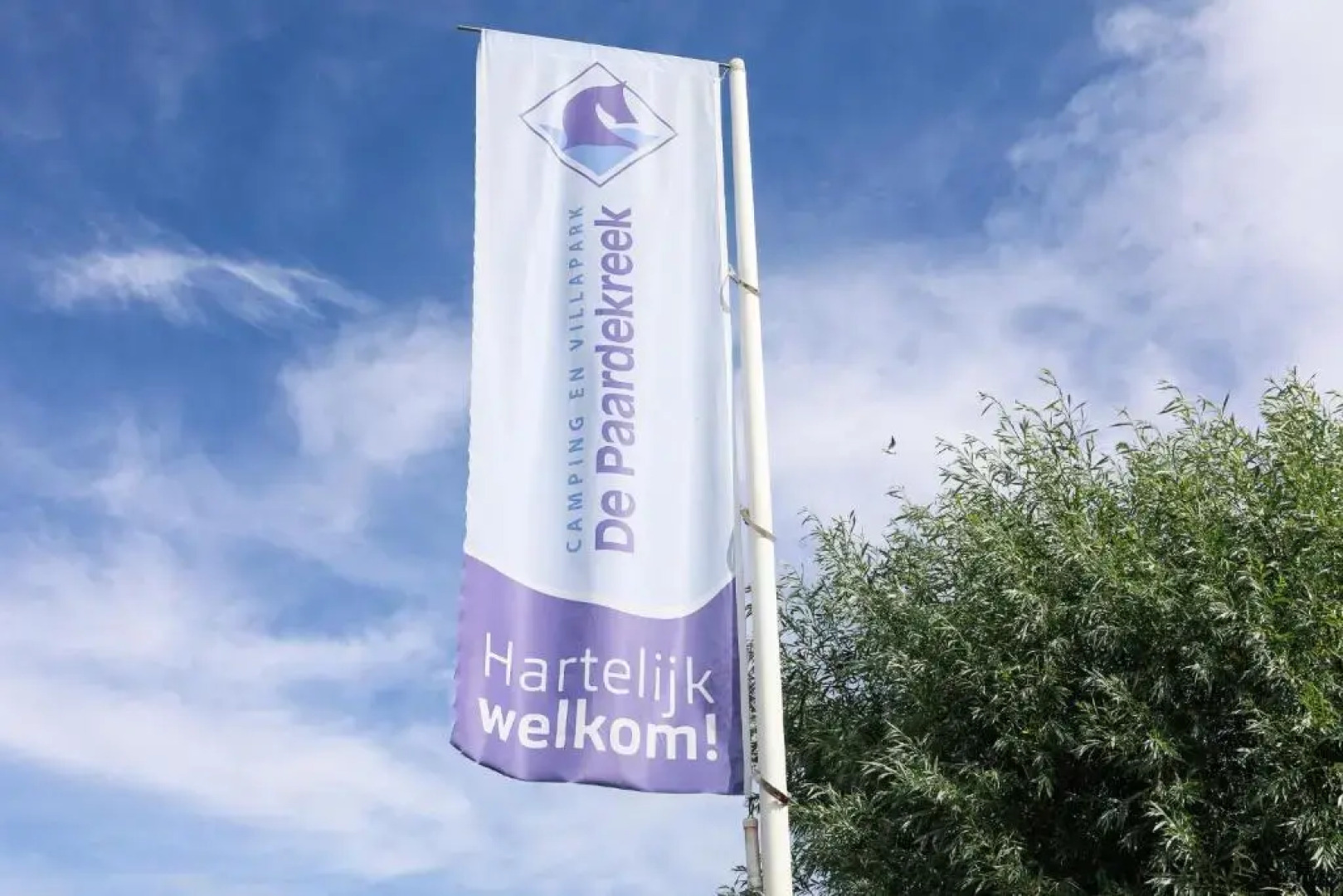 Chalet op 5* camping de Paardekreek