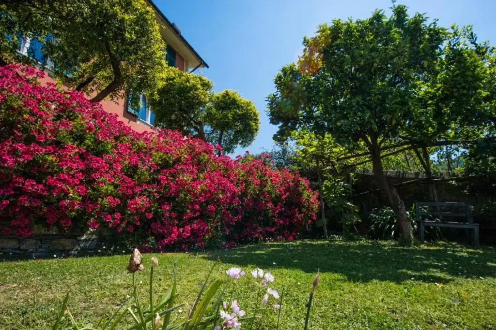 Le Clementine B&B