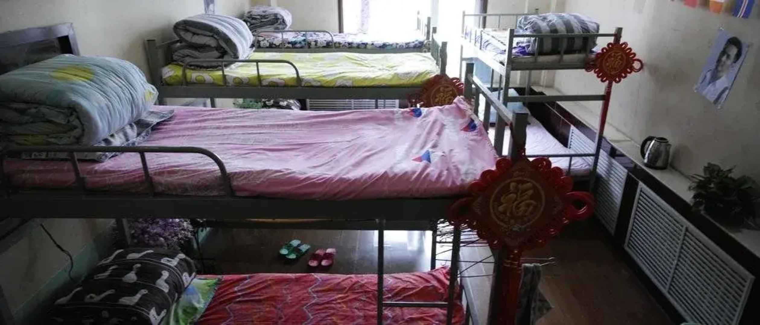 Luyou Tribe Youth Hostel