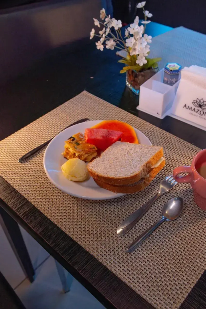 Amazônia Palace Hotel