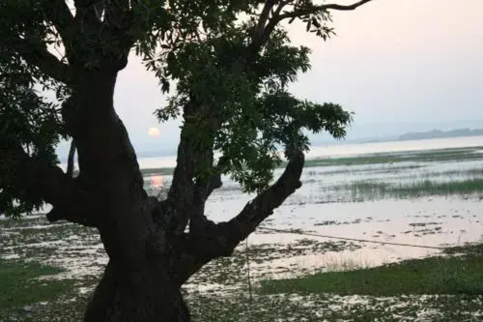 White Palace Family Resort