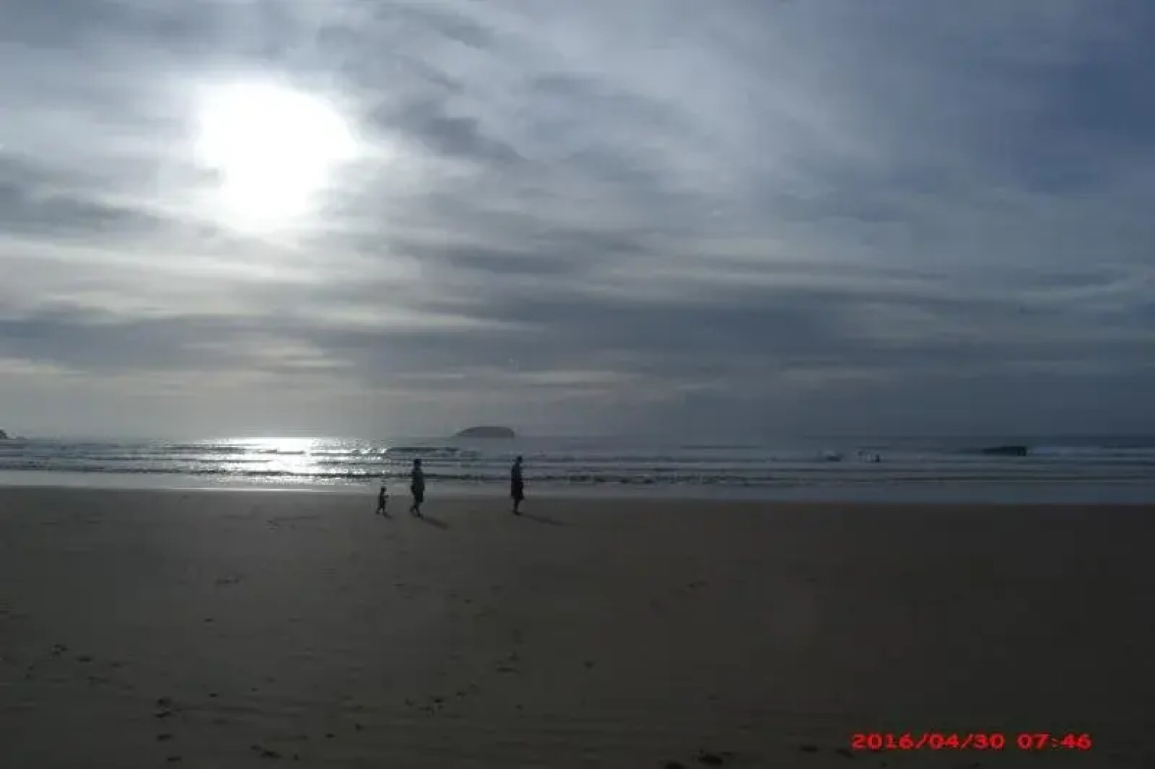 Emerald Tropical Palms B & B