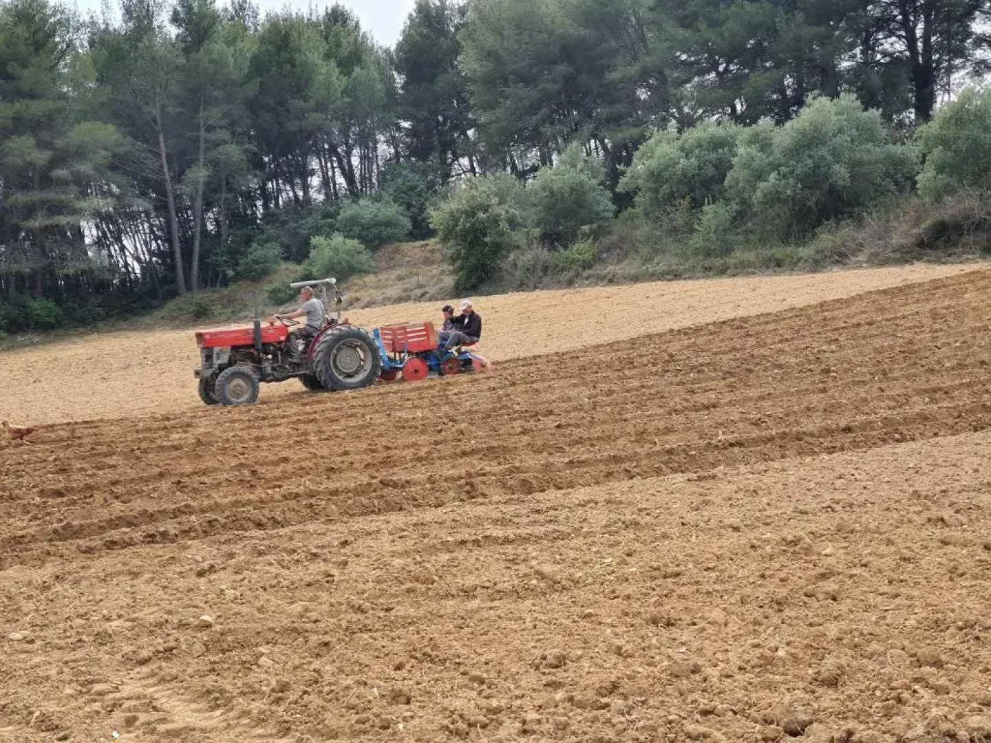 petit chalet insolite "vie en plein air" Bastide Bellugue maison d'hôtes reseau Bienvenue à la ferme à 3 mn de lourmarin