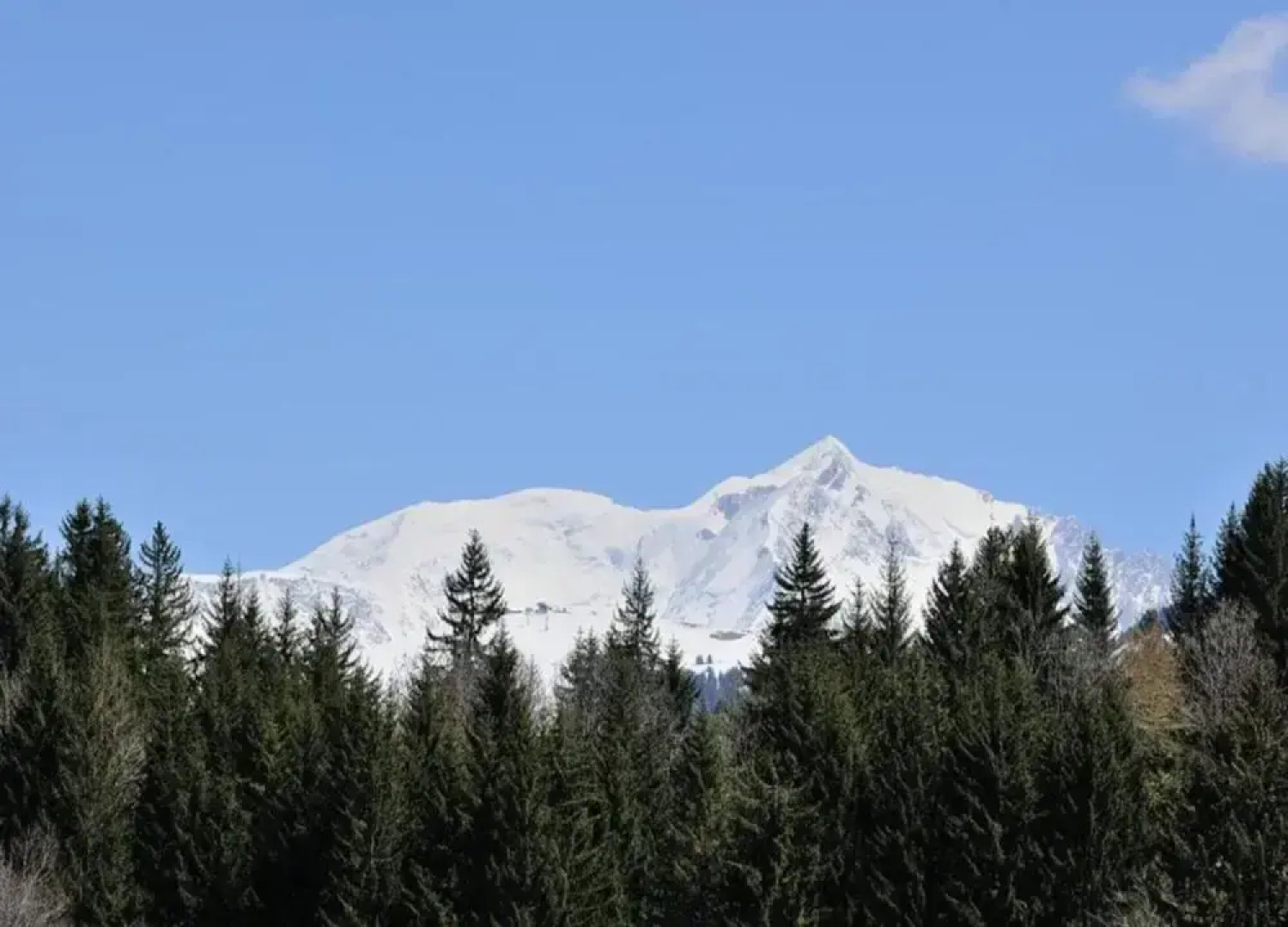 Stylish Chalet in Charming Megeve