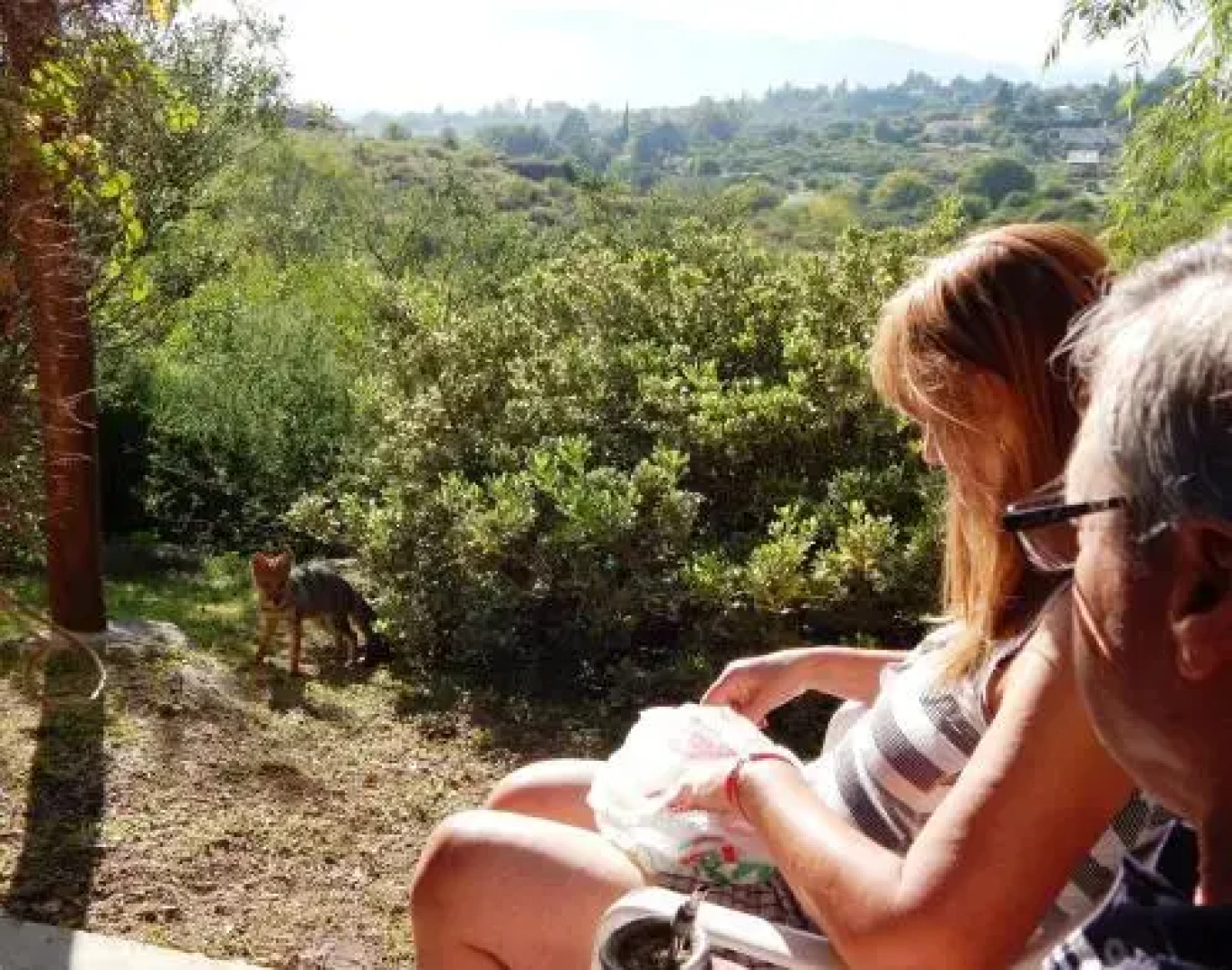 Morada La Silvestre Cabanas