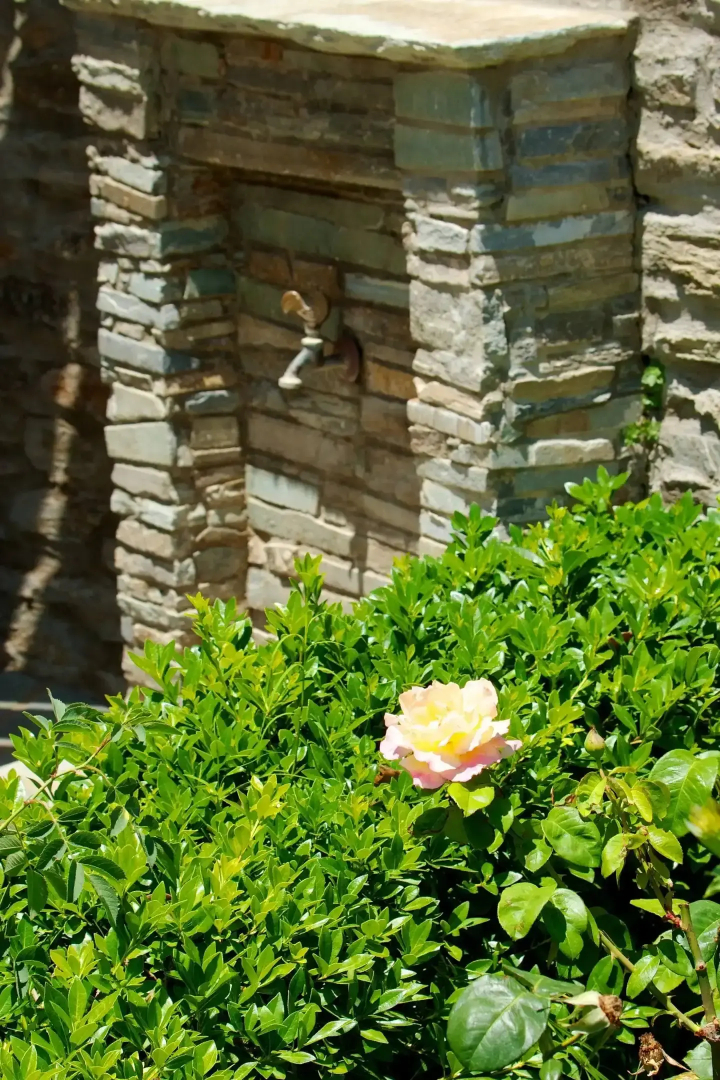 Villa View Studios