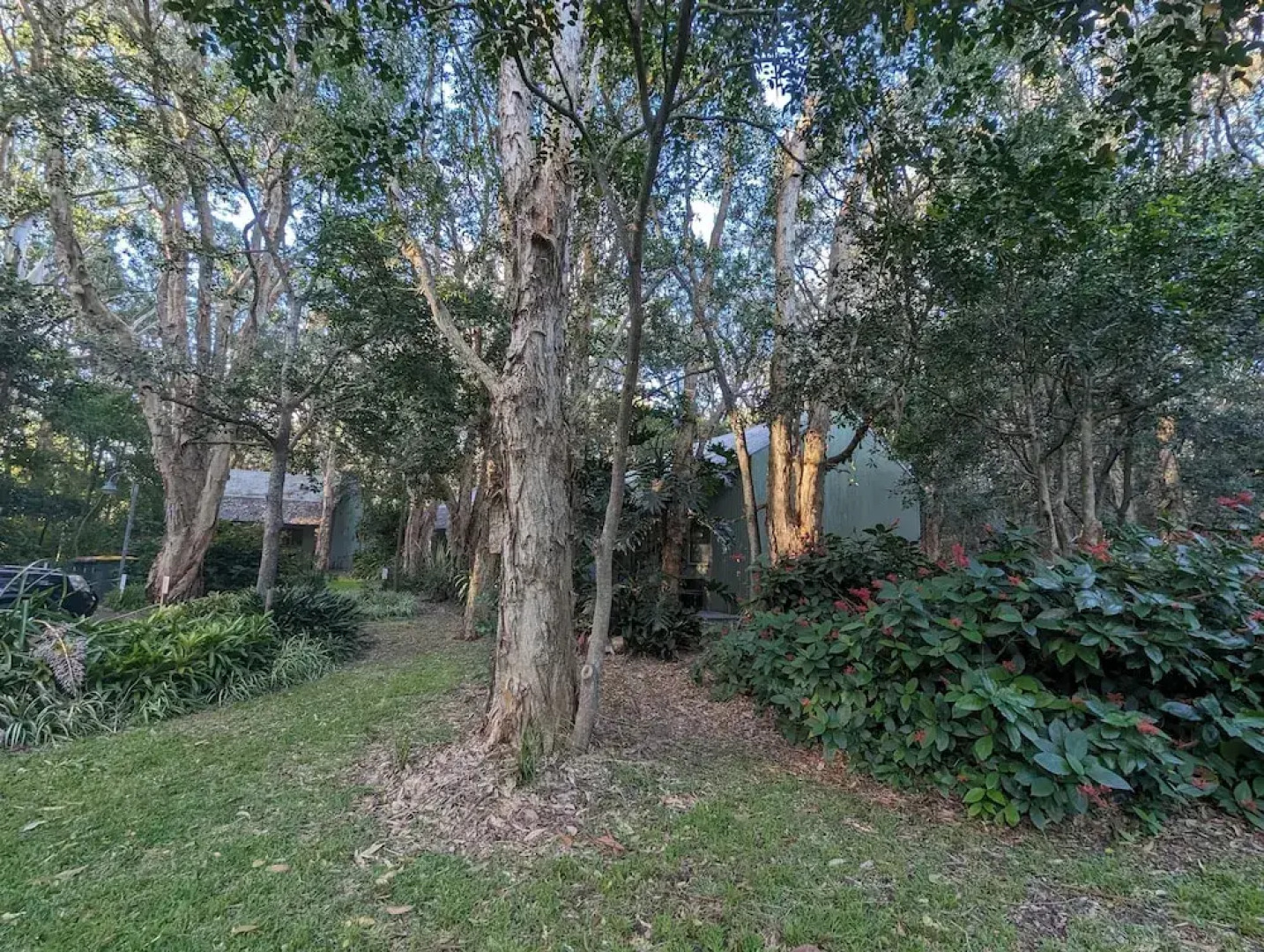 The Oasis One Mile beach