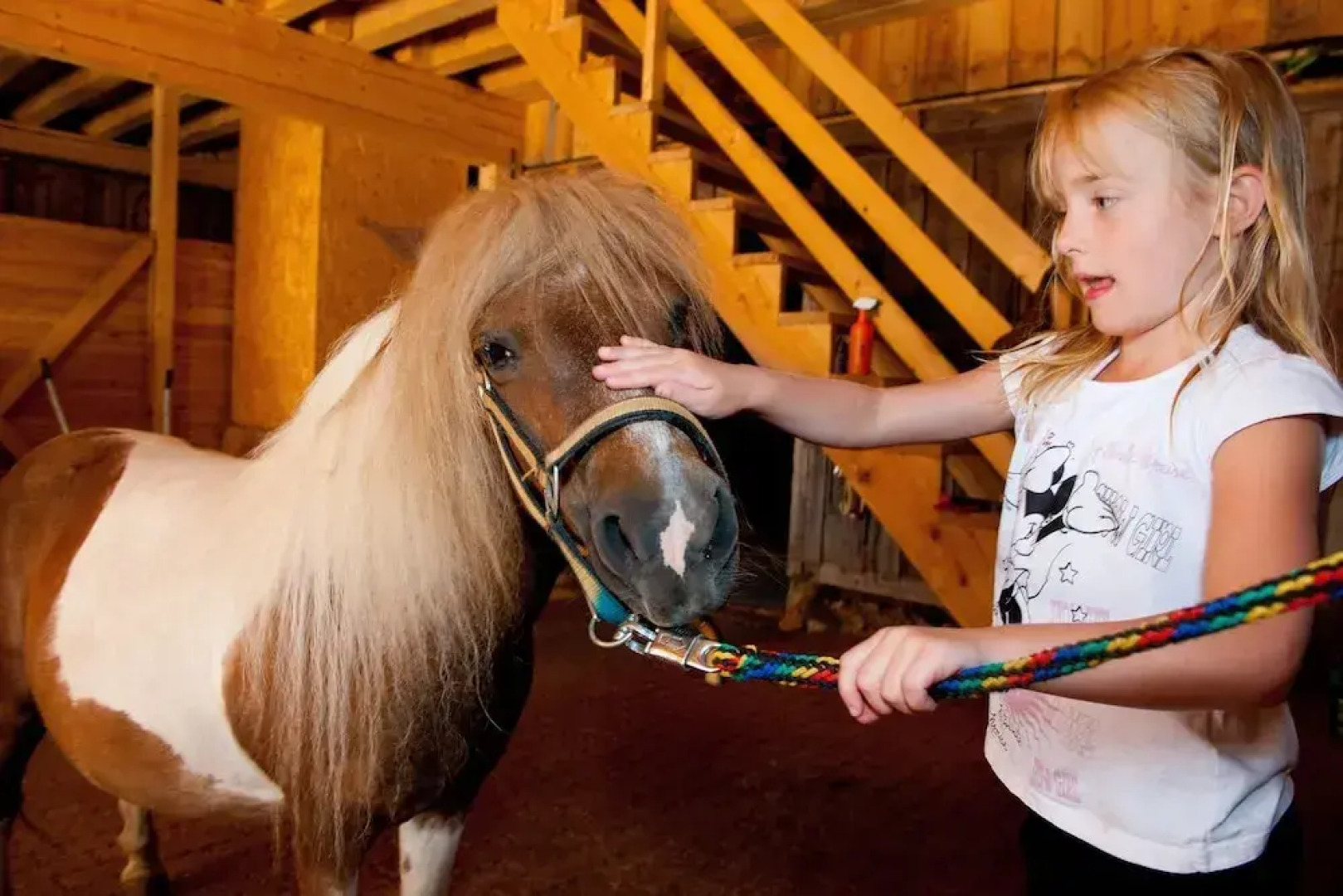 Wohlfühlhotel Martinerhof