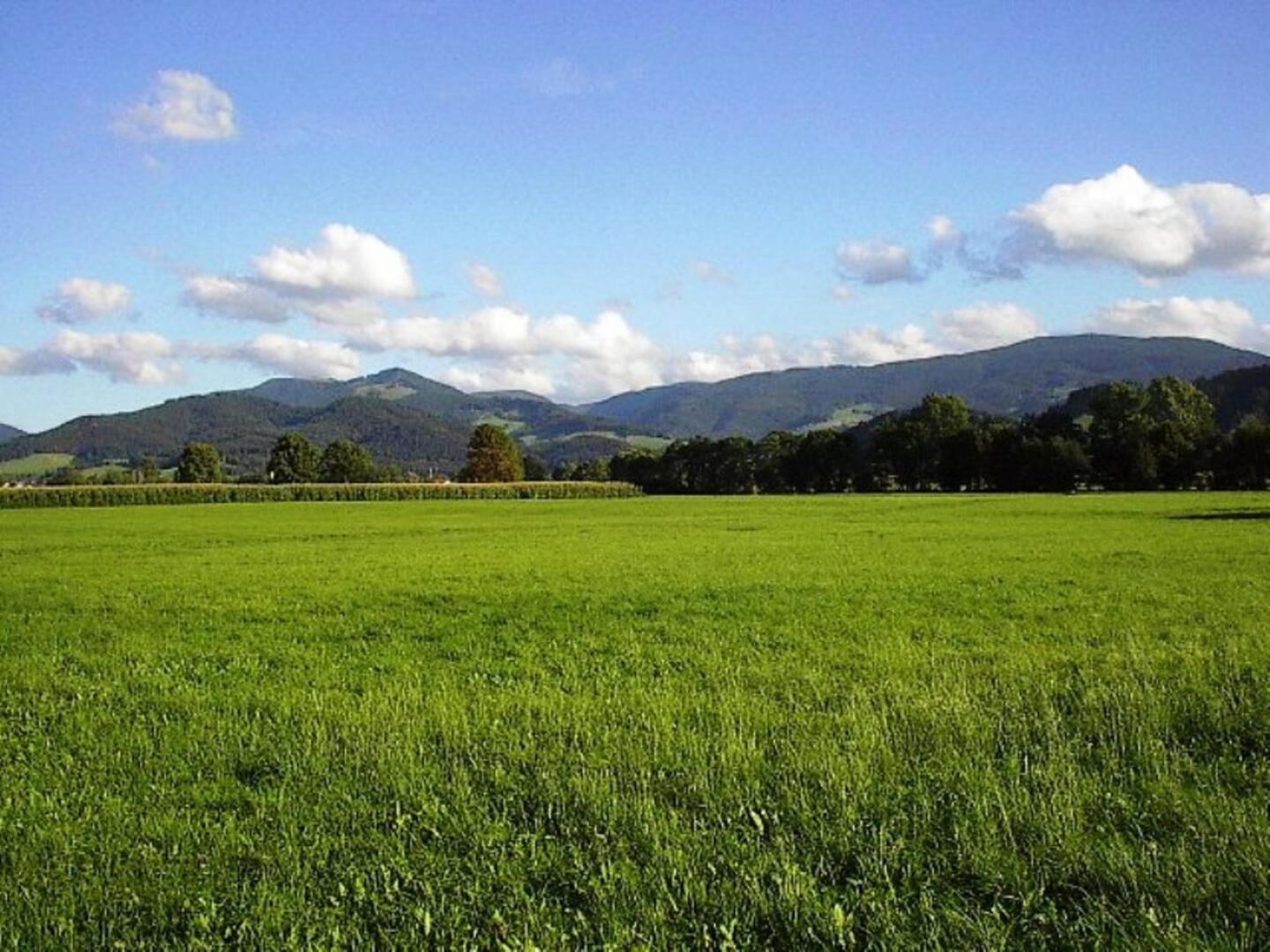 Countryside Farmhouse in Buchenbach-Wagensteig with Terrace