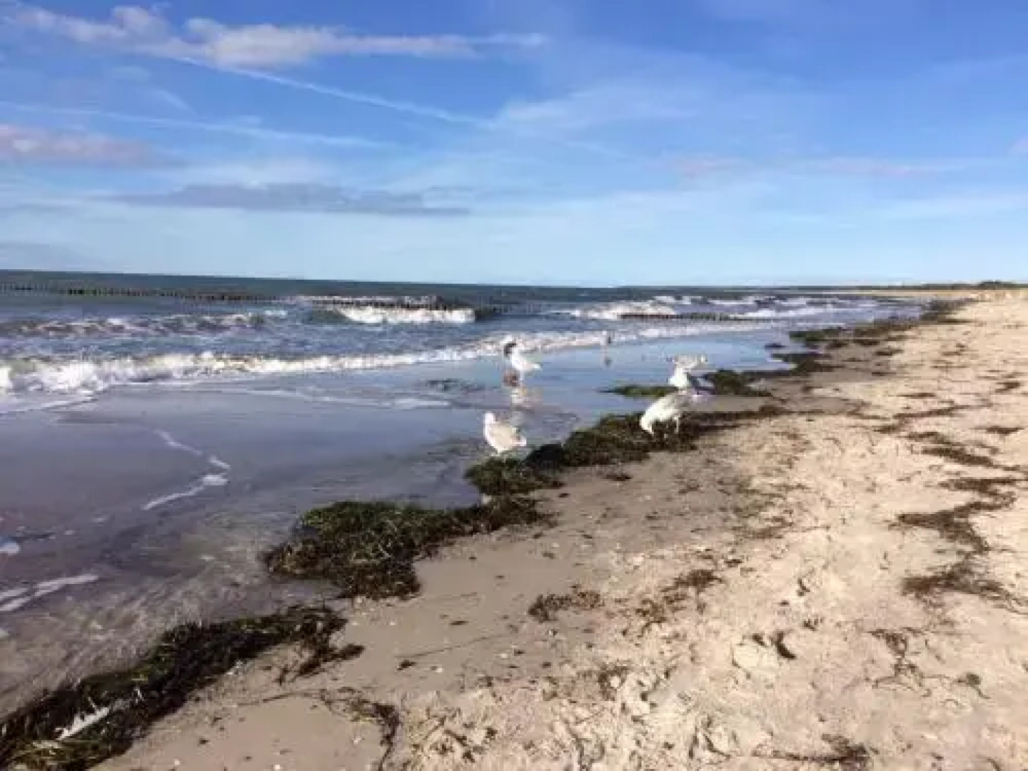 Haus Zeesenboot Ferienwohnung Luv
