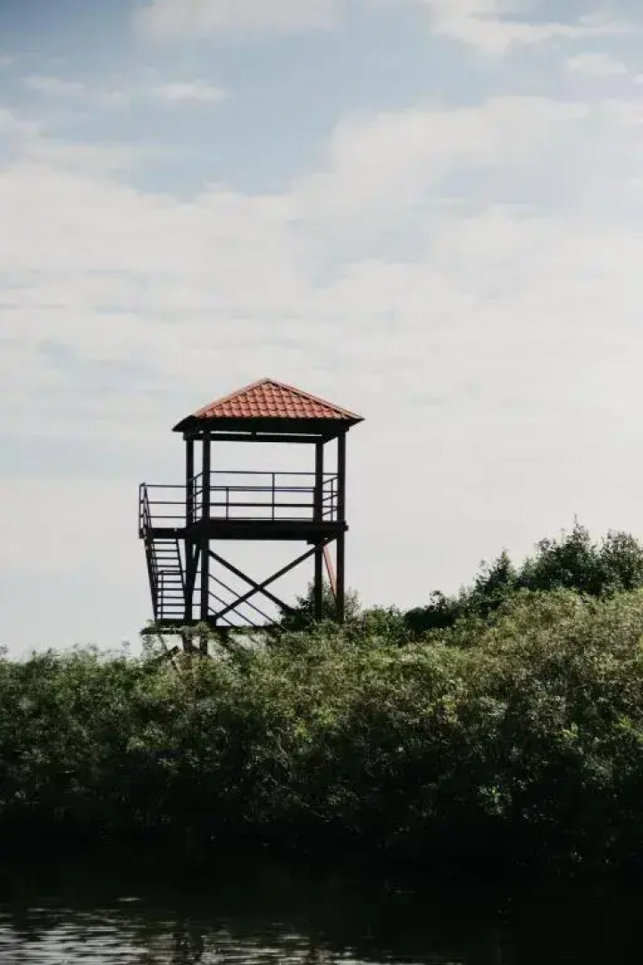 Geo Palace Kolkheti National Park