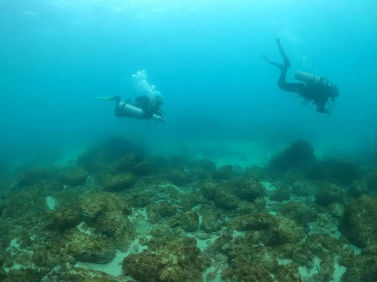 Aquamaster Dive Pousada