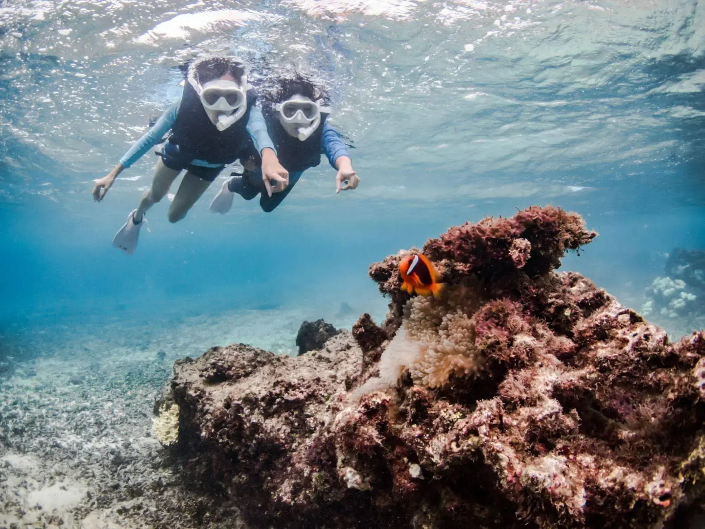 Allamanda Imgya Coral Village