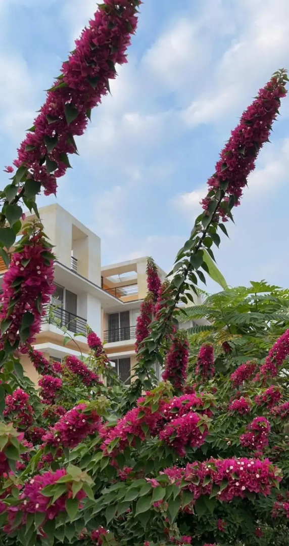 ROYAL MEADOWS - IGATPURI Bungalow B