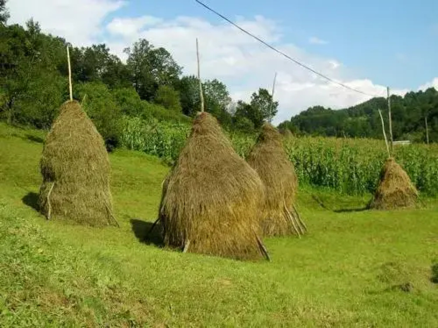 Pension Casa Muntean