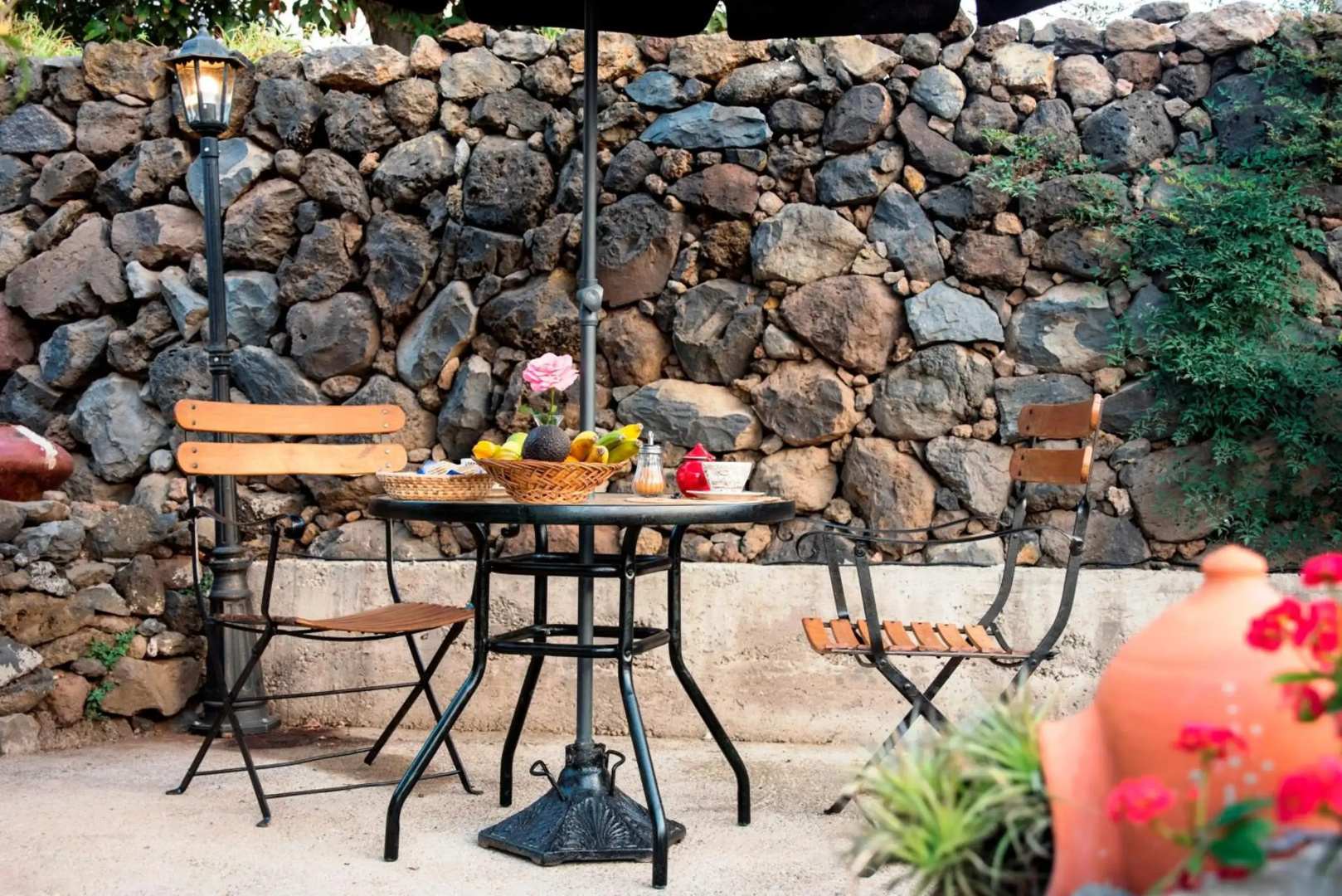 FINCA LA PLANTACIÓN _Agroturismo
