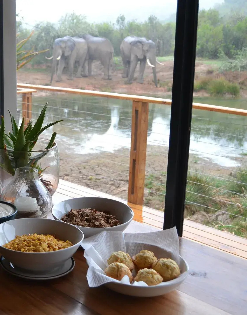 Barefoot Addo Elephant Lodge